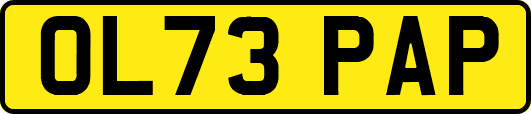 OL73PAP
