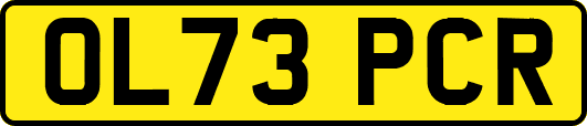 OL73PCR