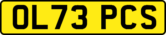 OL73PCS