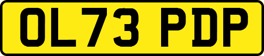 OL73PDP