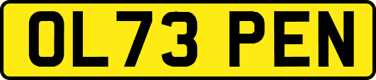 OL73PEN