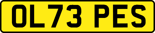 OL73PES