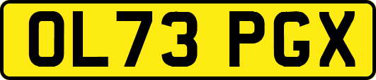 OL73PGX