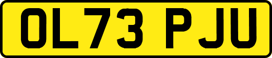 OL73PJU