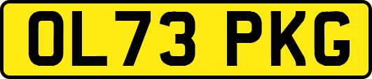 OL73PKG