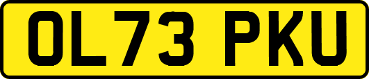 OL73PKU