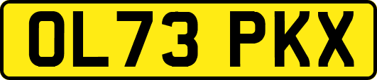 OL73PKX