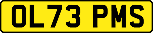 OL73PMS