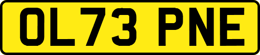 OL73PNE