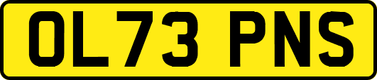 OL73PNS