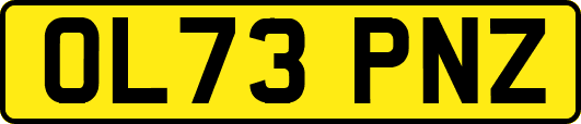 OL73PNZ