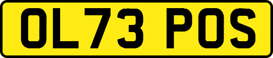 OL73POS
