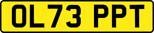 OL73PPT