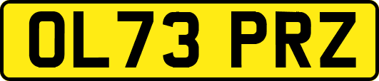 OL73PRZ