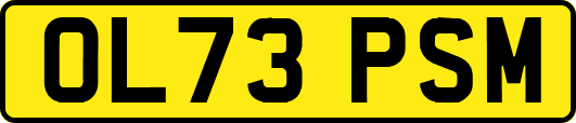 OL73PSM