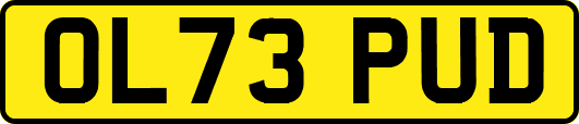 OL73PUD