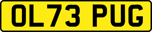 OL73PUG