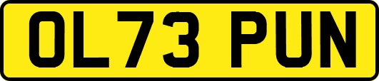 OL73PUN
