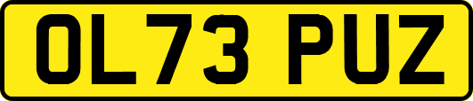 OL73PUZ