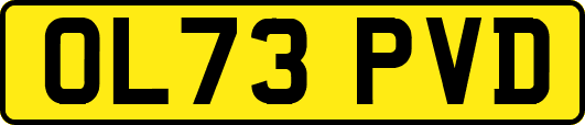 OL73PVD