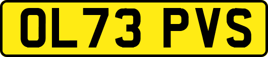 OL73PVS