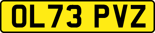 OL73PVZ