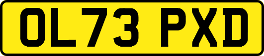 OL73PXD