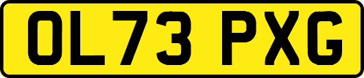 OL73PXG