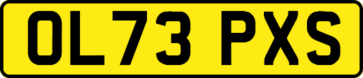 OL73PXS