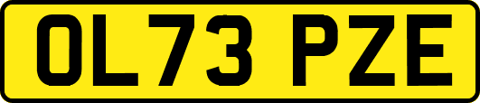 OL73PZE