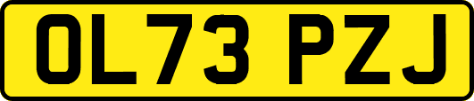 OL73PZJ