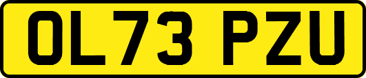 OL73PZU