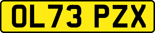 OL73PZX