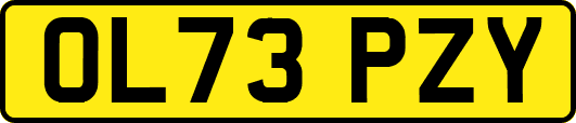 OL73PZY