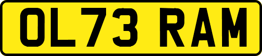 OL73RAM