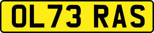 OL73RAS
