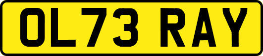 OL73RAY
