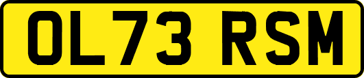 OL73RSM