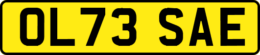 OL73SAE