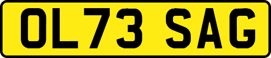 OL73SAG