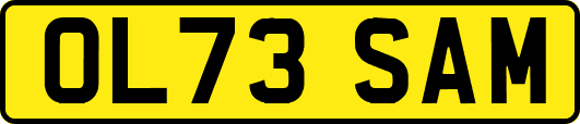 OL73SAM