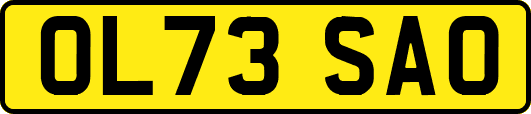 OL73SAO