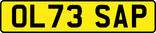 OL73SAP