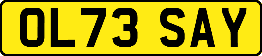 OL73SAY