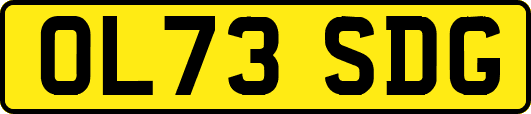 OL73SDG