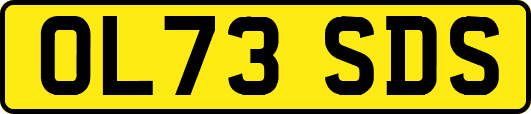 OL73SDS