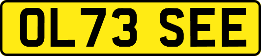 OL73SEE