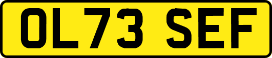 OL73SEF