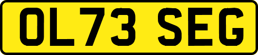 OL73SEG