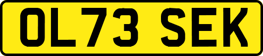 OL73SEK